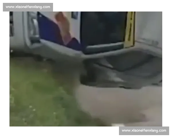 极速赛道惊魂:赛车事故背后的惊险瞬间与真相揭秘 极速赛道惊魂:赛车事故背后的惊险瞬间与真相揭秘