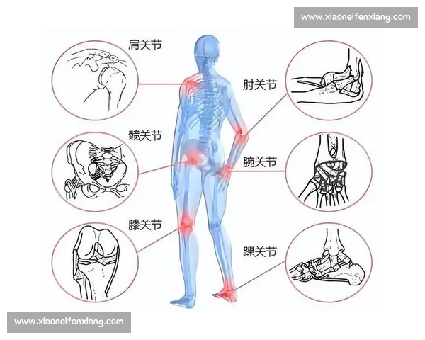 运动康复在身体功能重建与健康管理中的应用与实践探索 运动康复在身体功能重建与健康管理中的应用与实践探索